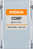 3.2TB Kioxia CD8P-V Series PCIe 5.0 x4 NVMe Solid State Drive (SIE)